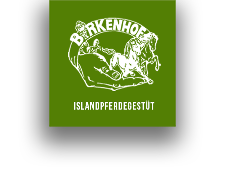 Islandpferdegestüt Birkenhof Logo